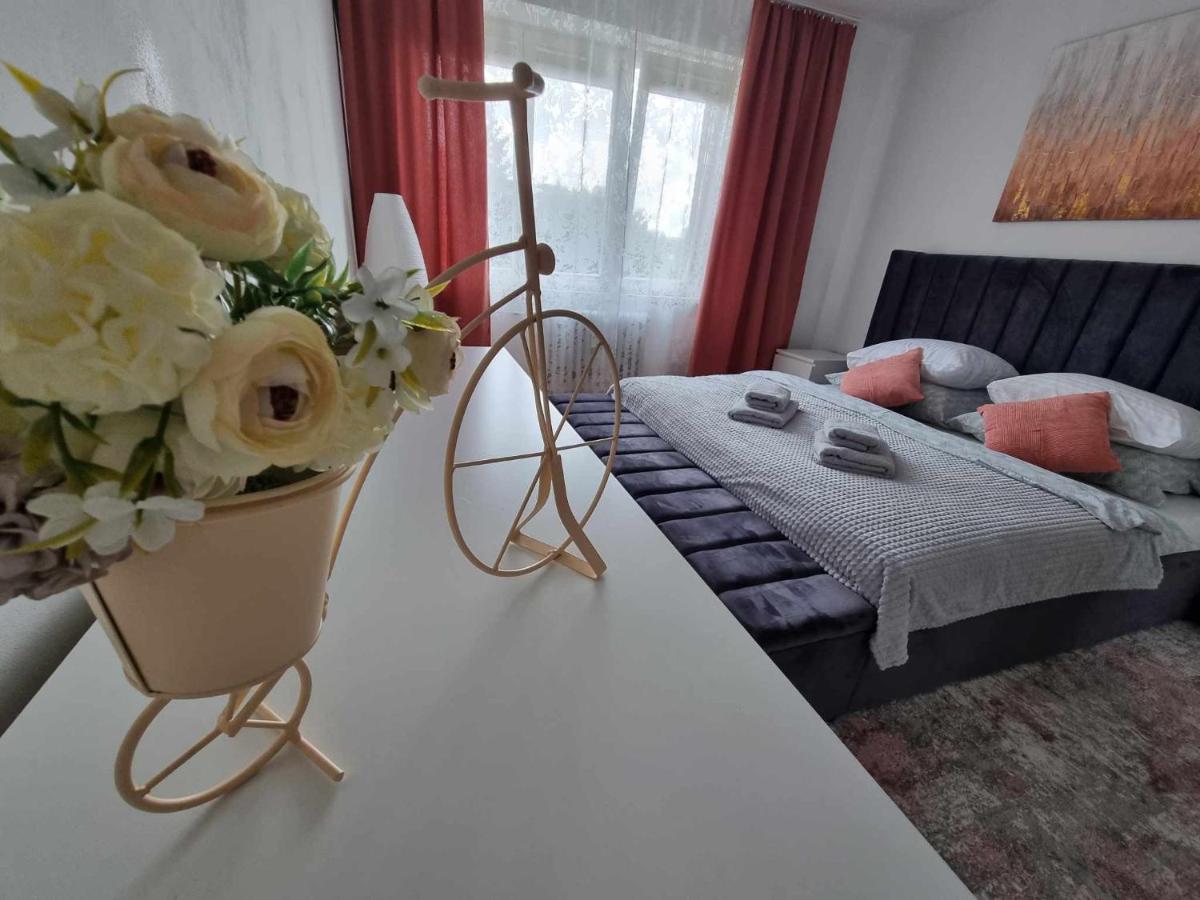 Prostorny Byt V Centru U Reky, 2 Loznice, Balkon Hradec Kralove Exterior photo